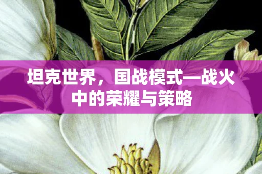 坦克世界，国战模式—战火中的荣耀与策略