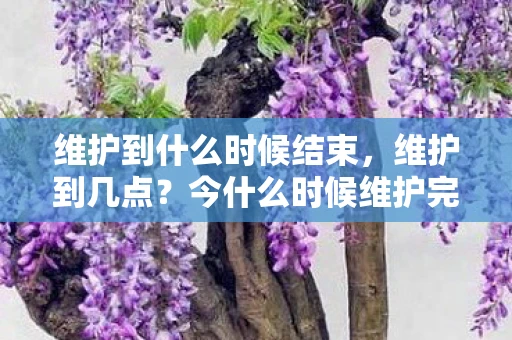 维护到什么时候结束，维护到几点？今什么时候维护完？
