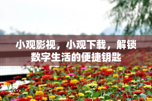 小观影视，小观下载，解锁数字生活的便捷钥匙