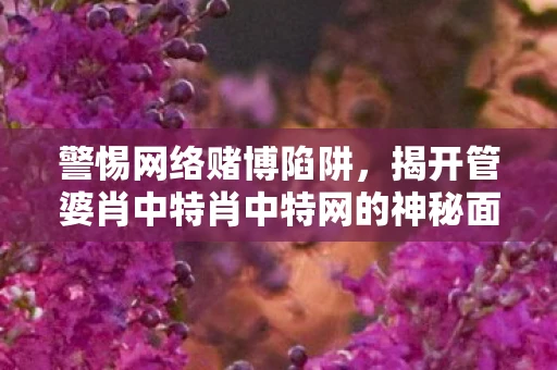 警惕网络赌博陷阱，揭开管婆肖中特肖中特网的神秘面纱