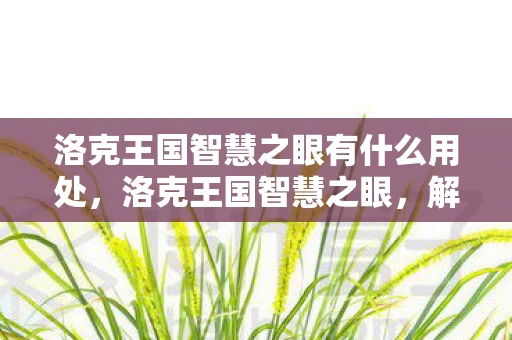 洛克王国智慧之眼有什么用处，洛克王国智慧之眼，解锁神秘力量的钥匙