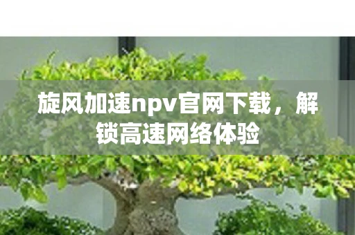 旋风加速npv官网下载,解锁高速网络体验 旋风加速npv官网下载,解锁高速网络体验
