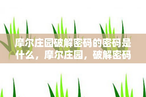 摩尔庄园破解密码的密码是什么，摩尔庄园，破解密码的奇妙之旅