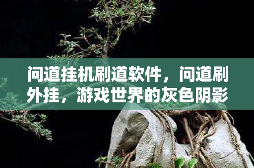 问道挂机刷道软件，问道刷外挂，游戏世界的灰色阴影