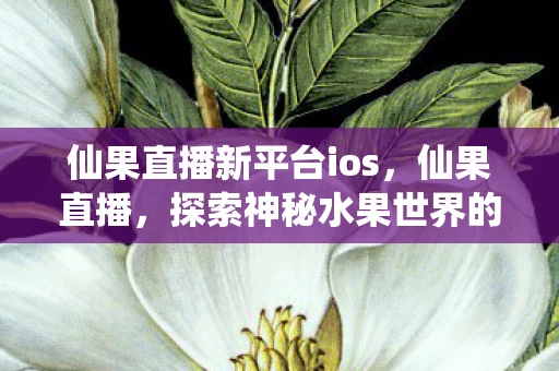 仙果直播新平台ios，仙果直播，探索神秘水果世界的奇妙之旅