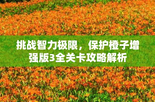 保护橙子增强版3全关卡攻略解析图片
