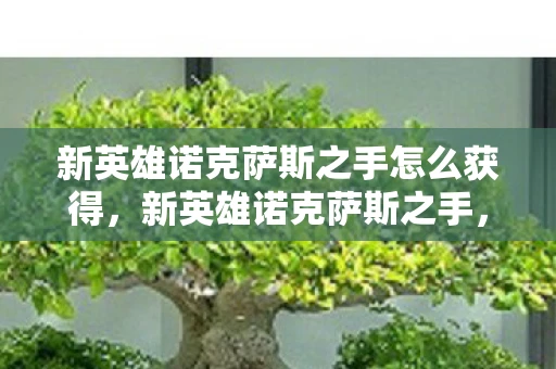 新英雄诺克萨斯之手怎么获得，新英雄诺克萨斯之手，重塑战场格局的致命利刃