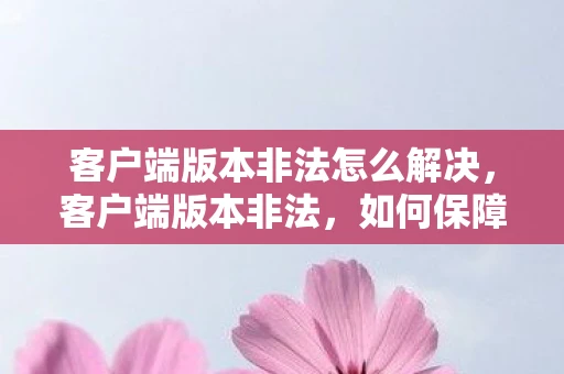 客户端版本非法怎么解决，客户端版本非法，如何保障数字安全？