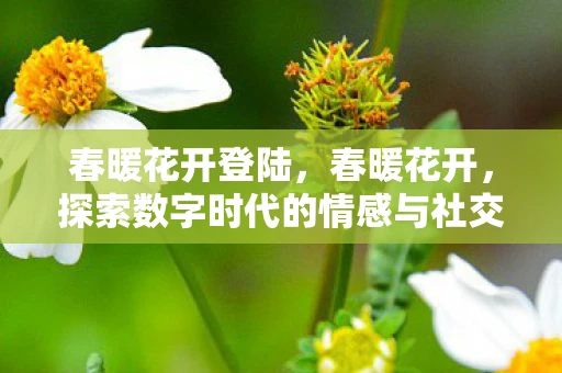 春暖花开登陆，春暖花开，探索数字时代的情感与社交新生态