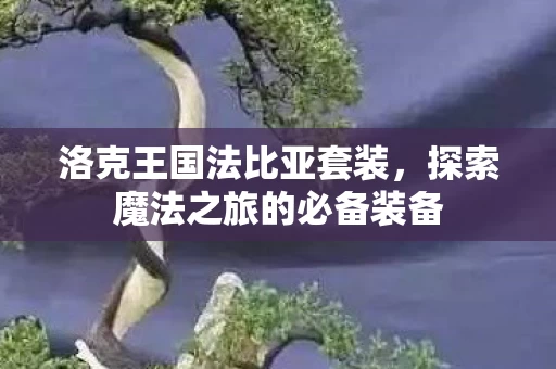 探索魔法之旅的必备装备图片