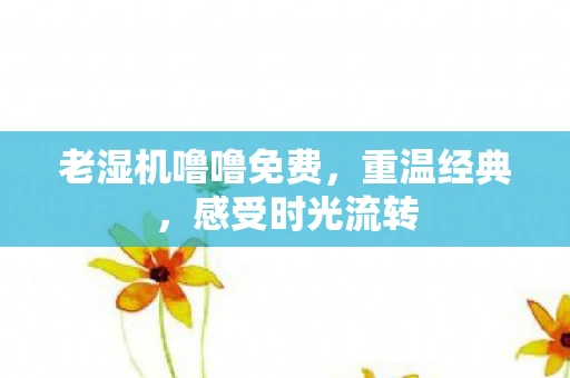 老湿机噜噜免费,重温经典,感受时光流转 老湿机噜噜免费,重温经典,感受时光流转