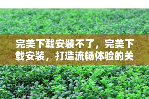 完美下载安装不了，完美下载安装，打造流畅体验的关键步骤