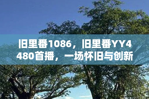 旧里番1086，旧里番YY4480首播，一场怀旧与创新的视听盛宴