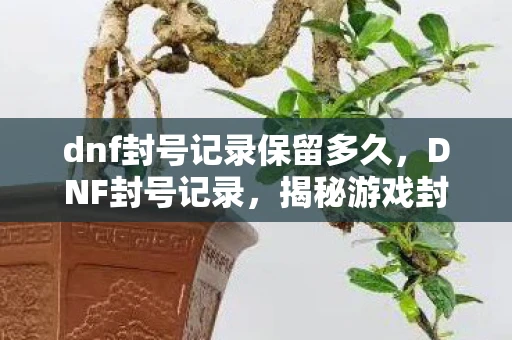 dnf封号记录保留多久，DNF封号记录，揭秘游戏封禁背后的故事