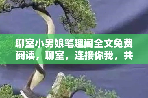 聊室小男娘笔趣阁全文免费阅读，聊室，连接你我，共享生活的温暖角落