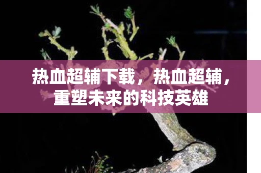 热血超辅下载，热血超辅，重塑未来的科技英雄