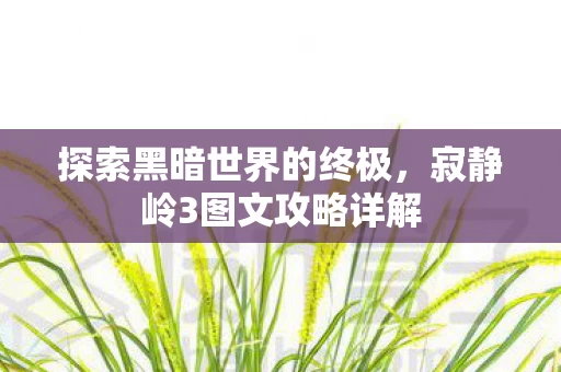 寂静岭3图文攻略详解图片