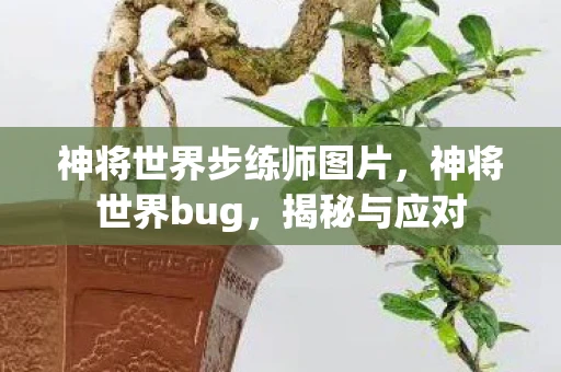 神将世界步练师图片，神将世界bug，揭秘与应对