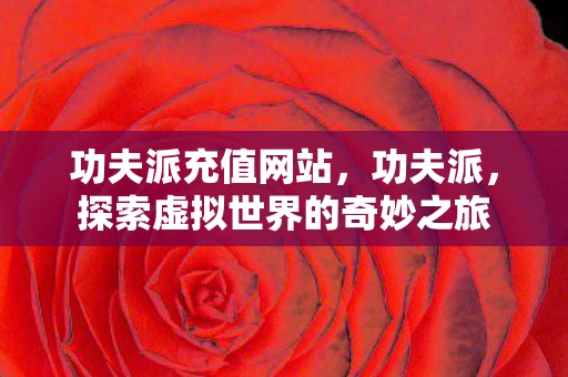 功夫派充值网站，功夫派，探索虚拟世界的奇妙之旅