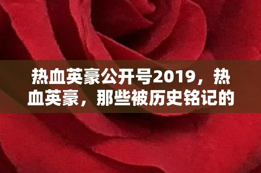 热血英豪公开号2019，热血英豪，那些被历史铭记的公号