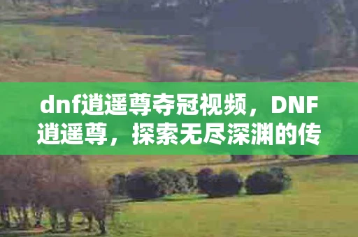 dnf逍遥尊夺冠视频，DNF逍遥尊，探索无尽深渊的传奇之旅