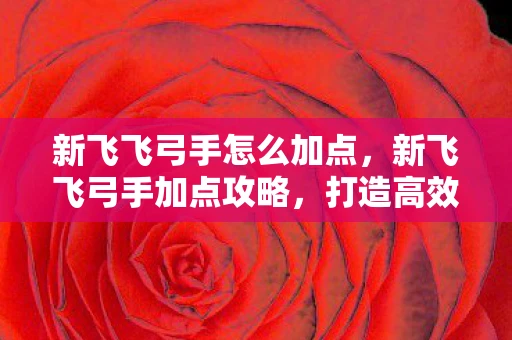 新飞飞弓手怎么加点，新飞飞弓手加点攻略，打造高效战斗力的关键