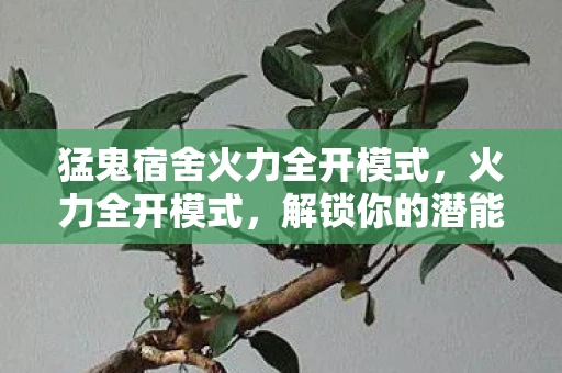 猛鬼宿舍火力全开模式，火力全开模式，解锁你的潜能，挑战自我极限