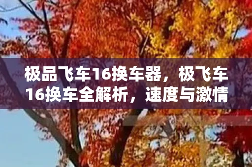 极品飞车16换车器，极飞车16换车全解析，速度与激情的再次升级