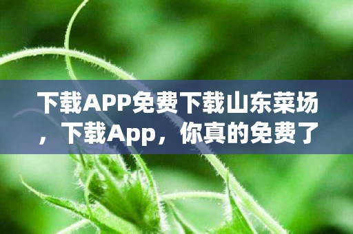 下载APP免费下载山东菜场,下载App,你真的免费了吗? 下载APP免费下载山东菜场,下载App,你真的免费了吗?