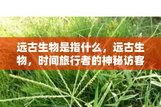 远古生物是指什么，远古生物，时间旅行者的神秘访客