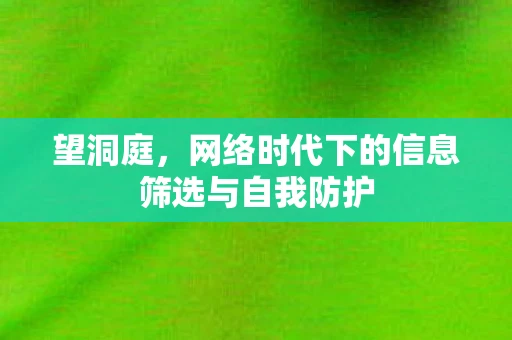 望洞庭，网络时代下的信息筛选与自我防护