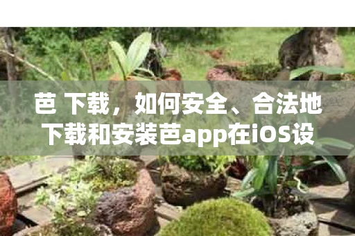 芭 下载，如何安全、合法地下载和安装芭app在iOS设备上