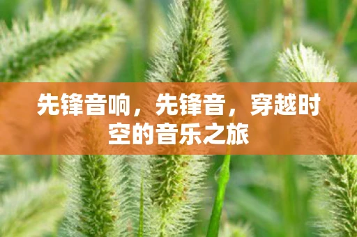 先锋音响，先锋音，穿越时空的音乐之旅