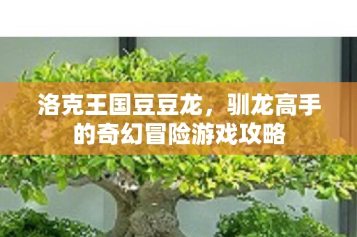 驯龙高手的奇幻冒险游戏攻略图片