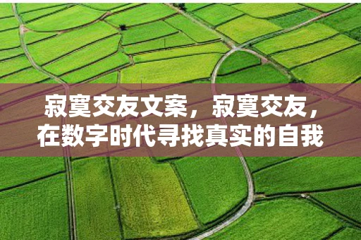 寂寞交友文案，寂寞交友，在数字时代寻找真实的自我连接