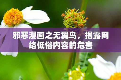 邪恶漫画之无翼鸟，揭露网络低俗内容的危害