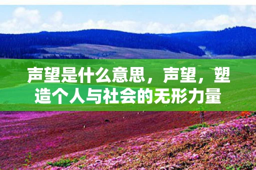 声望是什么意思，声望，塑造个人与社会的无形力量