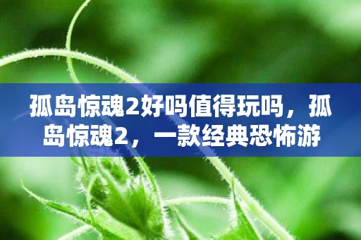 孤岛惊魂2好吗值得玩吗，孤岛惊魂2，一款经典恐怖游戏的深度解析