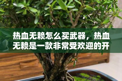 热血无赖怎么买武器，热血无赖是一款非常受欢迎的开放世界动作冒险游戏，玩家可以在游戏中自由探索香港城市，完成各种任务和挑战。如果你想要购买这款游戏，可以按照以下步骤进行