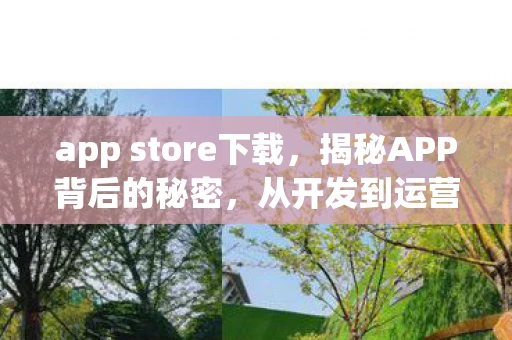 app store下载，揭秘APP背后的秘密，从开发到运营的全过程