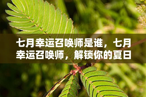 七月幸运召唤师是谁，七月幸运召唤师，解锁你的夏日幸运密码