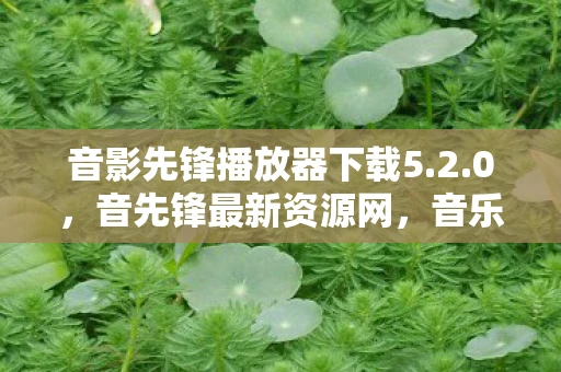 音影先锋播放器下载5.2.0，音先锋最新资源网，音乐与科技的完美融合