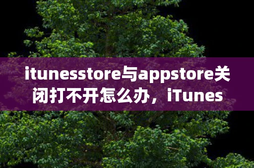 itunesstore与appstore关闭打不开怎么办，iTunes Store与App Store关闭并无法打开，原因及解决方法