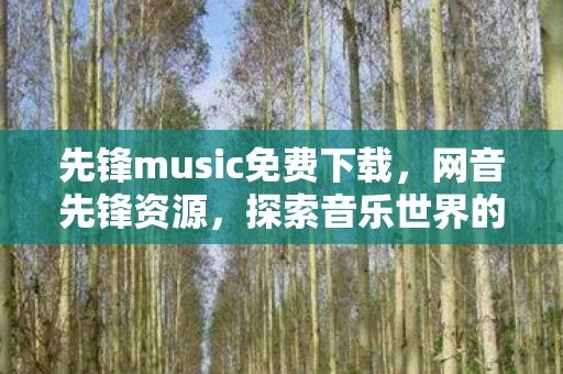 先锋music免费下载，网音先锋资源，探索音乐世界的无限可能