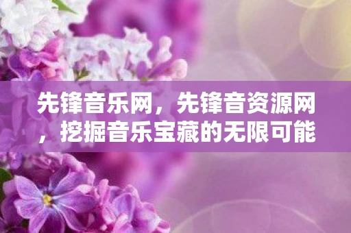 先锋音乐网，先锋音资源网，挖掘音乐宝藏的无限可能