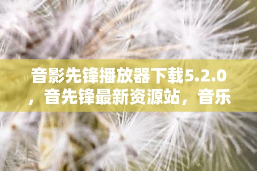 音影先锋播放器下载5.2.0，音先锋最新资源站，音乐与知识的无限宝库