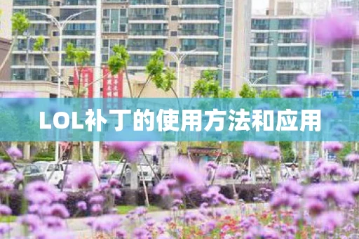 LOL补丁的使用方法和应用图片
