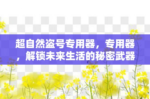 超自然盗号专用器，专用器，解锁未来生活的秘密武器