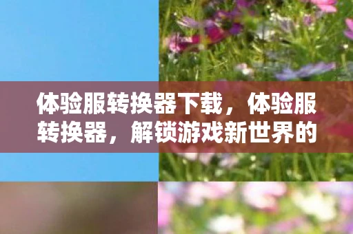 体验服转换器下载，体验服转换器，解锁游戏新世界的钥匙
