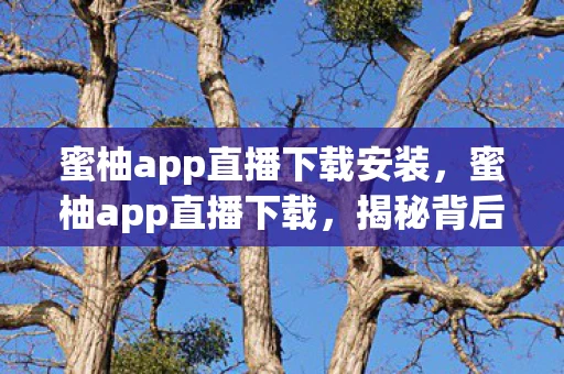 蜜柚app直播下载安装，蜜柚app直播下载，揭秘背后的风险与隐患